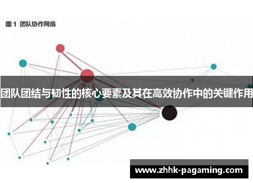 团队团结与韧性的核心要素及其在高效协作中的关键作用 团队团结与韧性的核心要素及其在高效协作中的关键作用